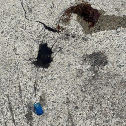 ヒットエギは海の底