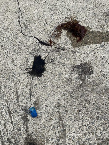 ヒットエギは海の底