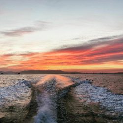 ヒラマサキャスティング