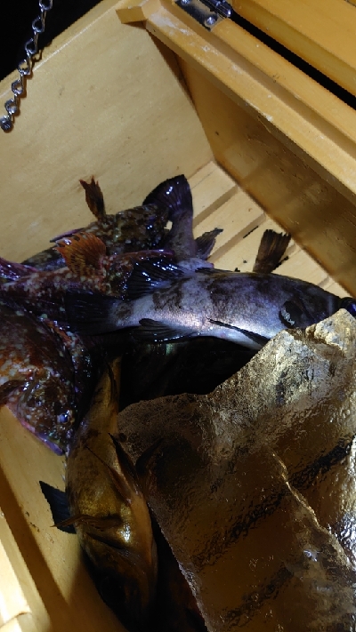 2022年淡路島にて初釣り