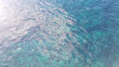 アジ狙いは不発も……