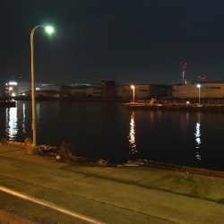 北港ダメ。南港行くも