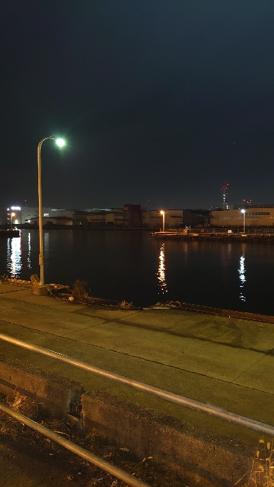 北港ダメ。南港行くも