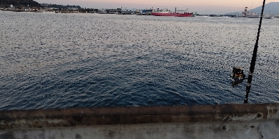 新年初フイッシュ！