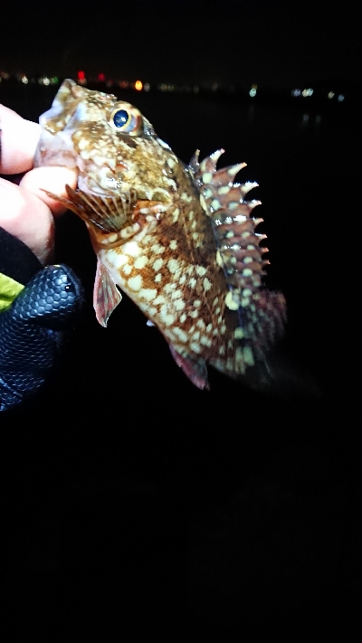 調子には乗れず