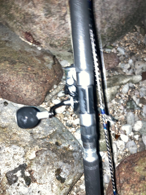 釣り納めのヒラスズキ