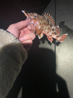 元旦ライトゲーム