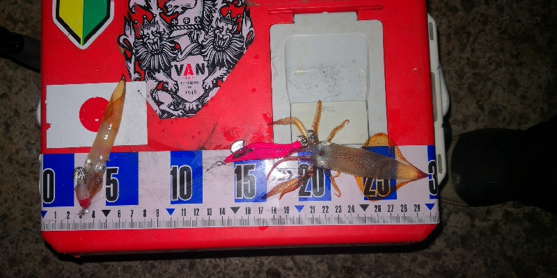 アジング練習358 ライトエギング復活か？