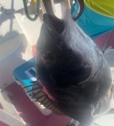 釣り始め　晴天でも大潮は・・・