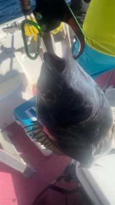 釣り始め　晴天でも大潮は・・・