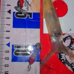 アジング練習　ライトエギング撃沈