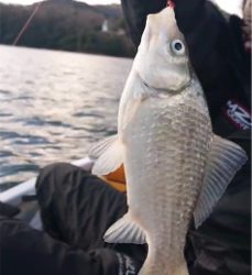 釣り始め！ワカサギ釣り