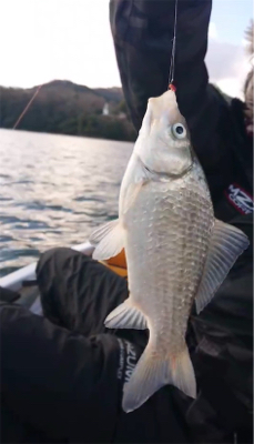 釣り始め！ワカサギ釣り