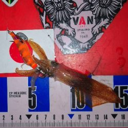 アジング練習360 ライトエギング