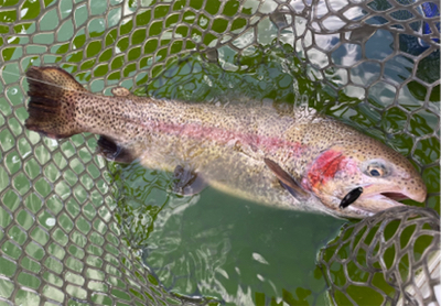 激渋でもデッドスローで何とか！