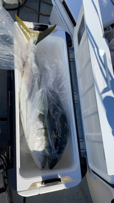 丹後沖ジギング