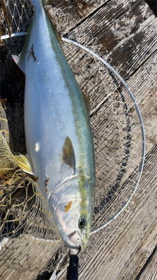 海上釣り堀 海恵