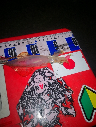 アジング練習364 ライトエギング