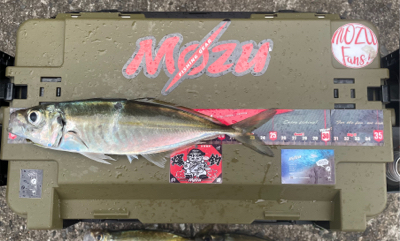 前日激渋からのぉ〜