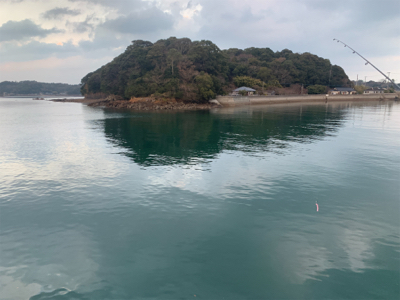 津波後の安定ガラカブちゃん