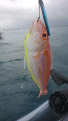 ジェットでジギング