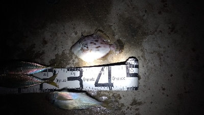 1/15釣果　楽しかった！寒かった！