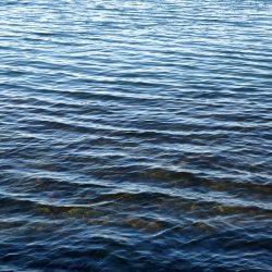 年明け初釣りでボウズ逃れ