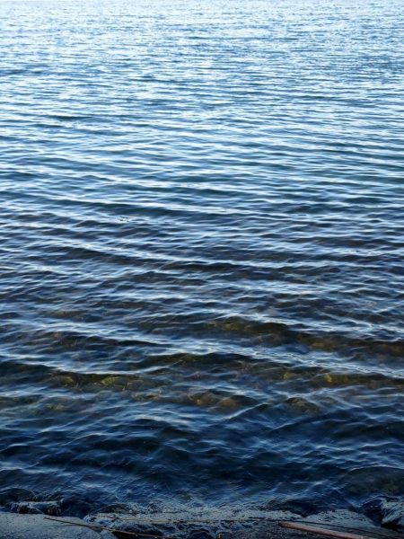 年明け初釣りでボウズ逃れ