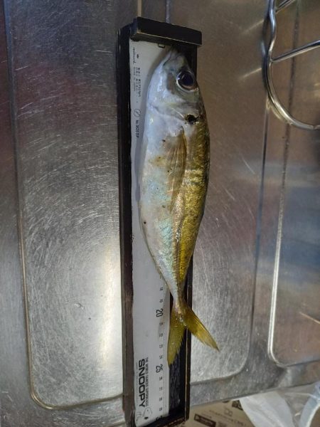 一年に一回は長島へ