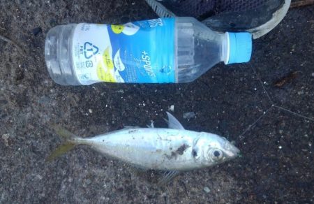 新年釣り始め！！