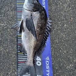 イチノ兄弟、釣果！