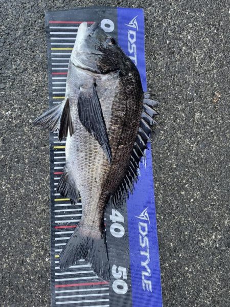 イチノ兄弟、釣果！