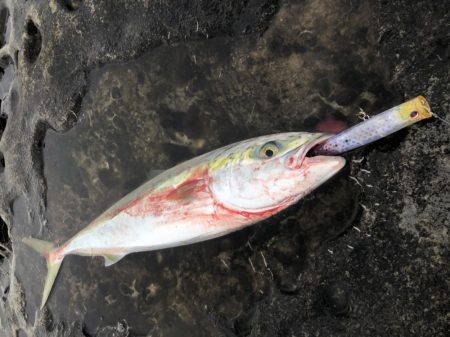 ショアプラッキング