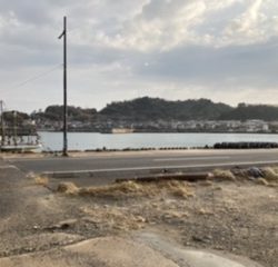 ショアジギング