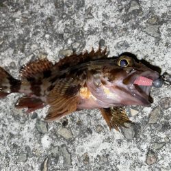 やっぱりガシリング