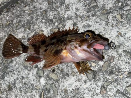 やっぱりガシリング