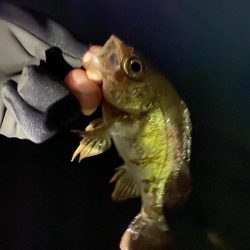 終盤にパターン発見