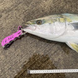 １０投だけいいよ、と言われて