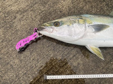 １０投だけいいよ、と言われて