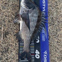 イチノ兄弟、釣果！