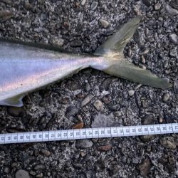 2022年もポッパー!