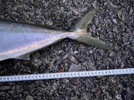 2022年もポッパー!