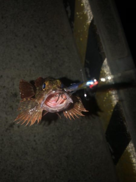 100均ルアーが釣れる理由