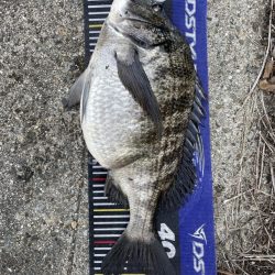 イチノ兄弟、釣果!