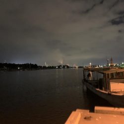 チーバスだった