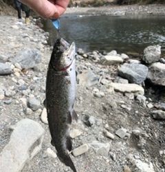 激寒の管理釣り場