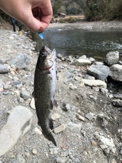 激寒の管理釣り場