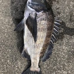 イチノ兄弟、釣果!