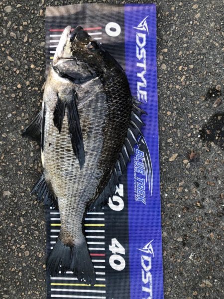 イチノ兄弟、長靴！