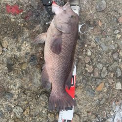 久しぶりの穏やかな風